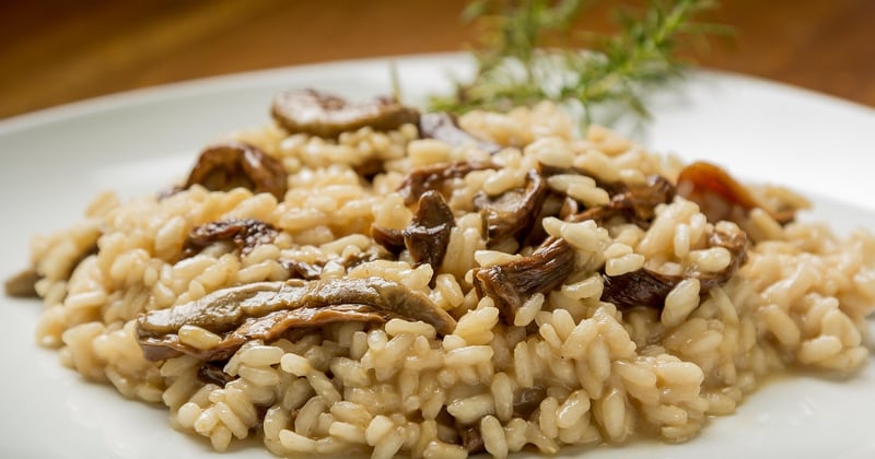 Risotto aux champignons végétarien crémeux : la recette qui régale